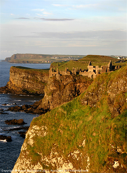 Dunluce Castle on the edge, County Antrim Picture Board by David McFarland