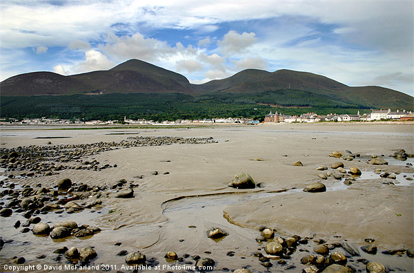 Newcastle beach and Slieve Donard Picture Board by David McFarland