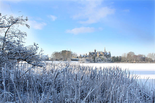 Lurgan Castle and lake frozen, County Armagh Picture Board by David McFarland