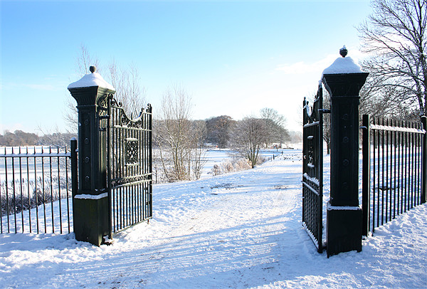 The Gates to a frozen Lurgan Park, County Armagh Picture Board by David McFarland