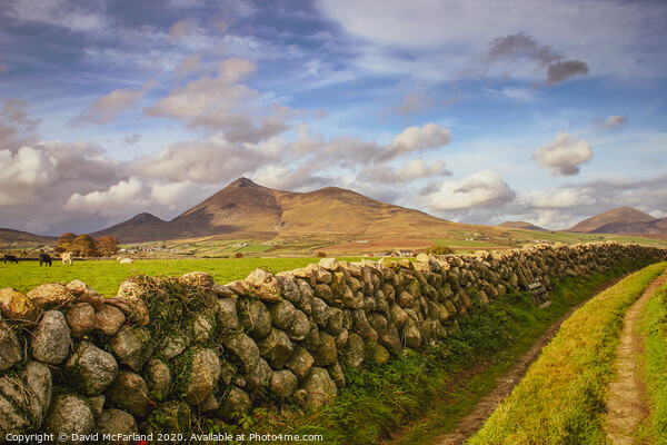 Mourne mountain pathway Picture Board by David McFarland
