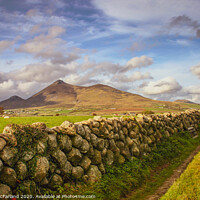 Buy canvas prints of Mourne mountain pathway by David McFarland
