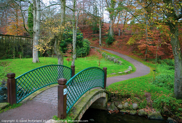 Walks in Dungannon Park Picture Board by David McFarland