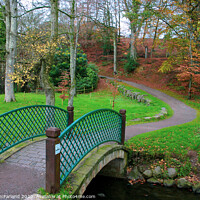 Buy canvas prints of Walks in Dungannon Park by David McFarland