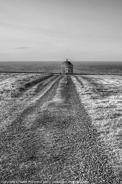 Mussenden Temple in Londonderry, Northern Ireland Picture Board by David McFarland