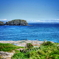 Buy canvas prints of Sheep Island, Northern Ireland by David McFarland