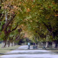 Buy canvas prints of a walk in the park by Martin Parkinson