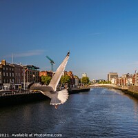 Buy canvas prints of Dublin by mirsad ibisevic