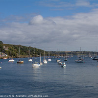 Buy canvas prints of Falmouth Harbour by Brian Roscorla