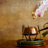 Buy canvas prints of Orchid and Copper Fondue by Brian Roscorla