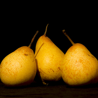 Buy canvas prints of Three Pears by Brian Roscorla
