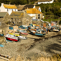 Buy canvas prints of Cadgwith Cove by Brian Roscorla