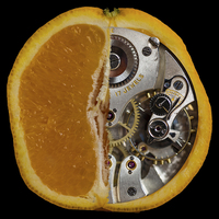 Buy canvas prints of Clockwork Orange by Brian Roscorla