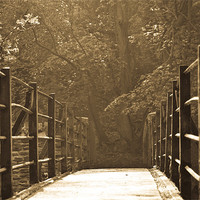 Buy canvas prints of Bridge Over River Frome by Brian Roscorla