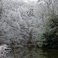 Buy canvas prints of Winter Snow Scene by Brian Roscorla
