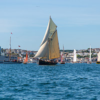 Buy canvas prints of Falmouth Classic 2018 by Brian Roscorla