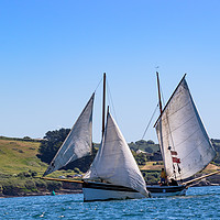 Buy canvas prints of Falmouth Classic 2018 by Brian Roscorla
