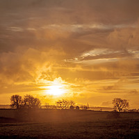 Buy canvas prints of Golden Skies by Andy Morley