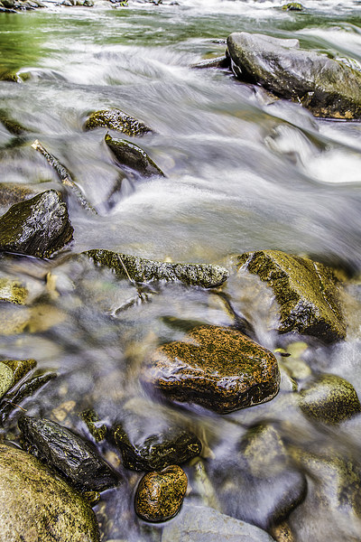  Stones in the River Tavy Picture Board by Mark Gorton