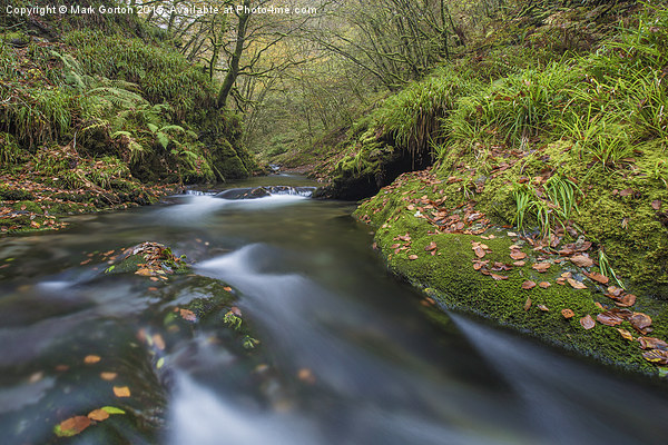  Lydford Gorge  Picture Board by Mark Gorton
