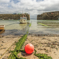 Buy canvas prints of Mousehole by C.C Photography