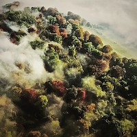 Buy canvas prints of Autumn Mist by Steve Marriott