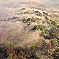 Buy canvas prints of Autumn Mist Panorama by Steve Marriott