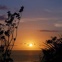 Buy canvas prints of Nearing Sunset in Costa Rica by james balzano, jr.