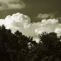 Buy canvas prints of  Clouds over the Trees Duo by james balzano, jr.