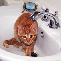 Buy canvas prints of Kitten in Sink  by james balzano, jr.