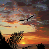 Buy canvas prints of Colorful Sunset with Bird  by james balzano, jr.