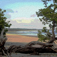 Buy canvas prints of  Beach at Playa Guionnes by james balzano, jr.