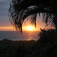 Buy canvas prints of Sunset Through the Palms by james balzano, jr.