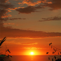Buy canvas prints of Glorious Sunset by james balzano, jr.
