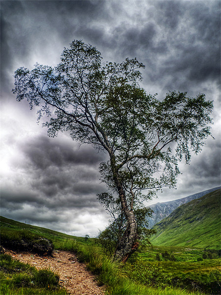 Glen Etive, The Highlands Picture Board by Aj’s Images
