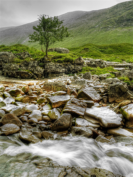 The Rocky River Etive. Picture Board by Aj’s Images