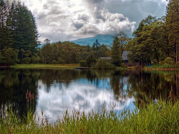 Summer Showers Over Loch Ard Picture Board by Aj’s Images