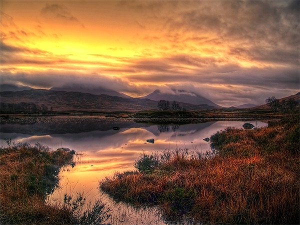 Golden Sunrise Over Loch Ba Picture Board by Aj’s Images