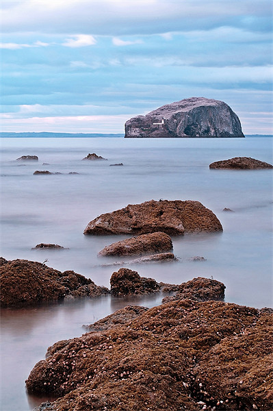 The Bass Rock Picture Board by Aj’s Images