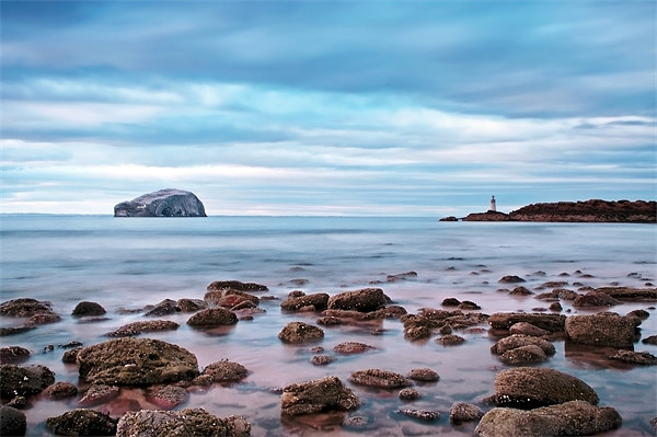 Bass Rock And The Beacon Picture Board by Aj’s Images