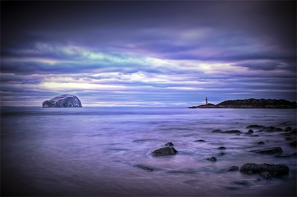 Bass Rock Scotland Picture Board by Aj’s Images
