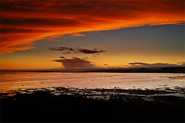 Orange Delight At Shellbay, Scotland. Picture Board by Aj’s Images