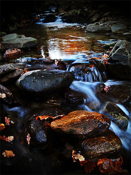 Dream A Little Stream With Me #1 Picture Board by Aj’s Images