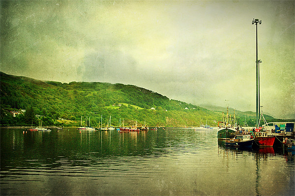 Harbour Life In Ullapool, Scotland. Picture Board by Aj’s Images