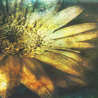 Buy canvas prints of A Floral  Symphony by Aj’s Images