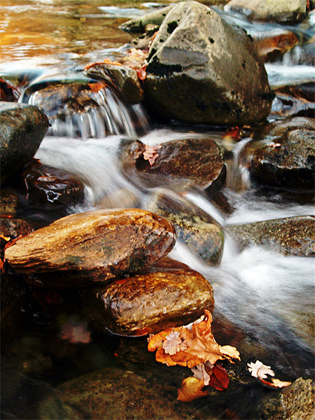 Dream A Little Stream With Me #2 Picture Board by Aj’s Images