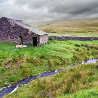 Buy canvas prints of Sheep and barn by Stephen Mole