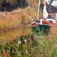 Buy canvas prints of Moored at Hickling by Stephen Mole