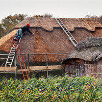 Buy canvas prints of Thatching a boat house at Hickling by Stephen Mole