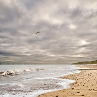 Buy canvas prints of Scratby Beach by Stephen Mole
